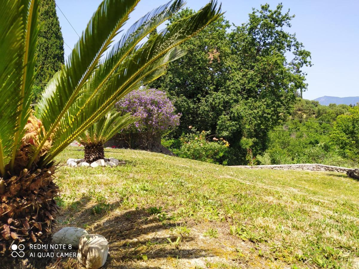 Corfu Villa Galini Potamos  Luaran gambar